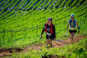 BIB: 216, 3319, 
                            <button type="button" onclick="openModal(19163094)" class="btn btn-primary btn-sm float-right btn-popup" data-toggle="modal" data-target=".modal-high-quality">
                        <i class="fas fa-shopping-cart"></i> Add to Cart
                    </button>
                                            <button type="button" onclick="isThisMe(19163094, true)" class="btn btn-success btn-sm float-right btn-popup btn-isme hidden" data-toggle="tooltip" data-placement="bottom" title="นี่คือรูปของคุณใช่ไหม คลิกที่นี่เพื่อเอาเข้าอัลบั้ม">
                        <i class="fas fa-plus"></i> Add to album
                    </button>
                    <button type="button" onclick="isThisMe(19163094, false)" class="btn btn-warning btn-sm float-right btn-popup btn-isnotme hidden">
                        <i class="fas fa-ban"></i> Remove from album
                    </button>